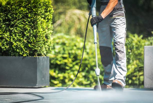 Best Solar Panel Cleaning  in Port Dickinson, NY