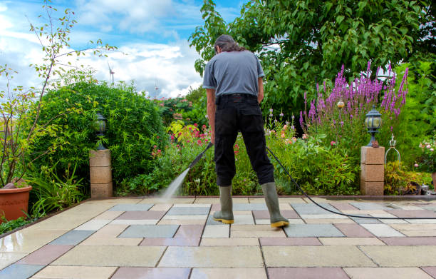 Best Sidewalk and Walkway Cleaning  in Port Dickinson, NY
