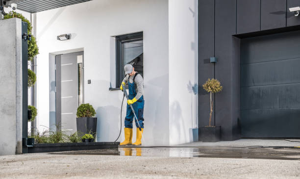 Pre-Holiday Cleaning in Port Dickinson, NY